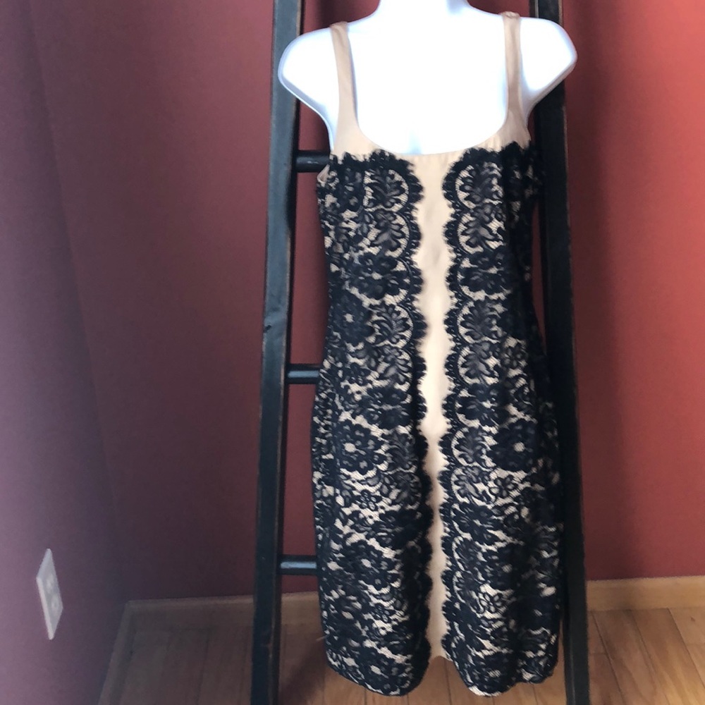 Cheta B dress size 12